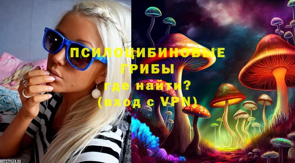 эйфоретик Заводоуковск