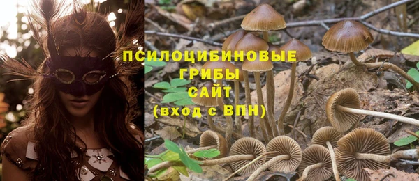 ALPHA PVP Заволжье