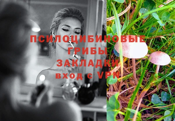 эйфоретик Заводоуковск