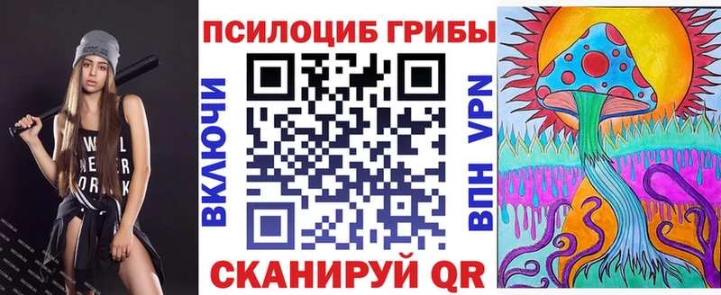 Купить закладки  Щучье  Псилоцибиновые грибы ЛСД 